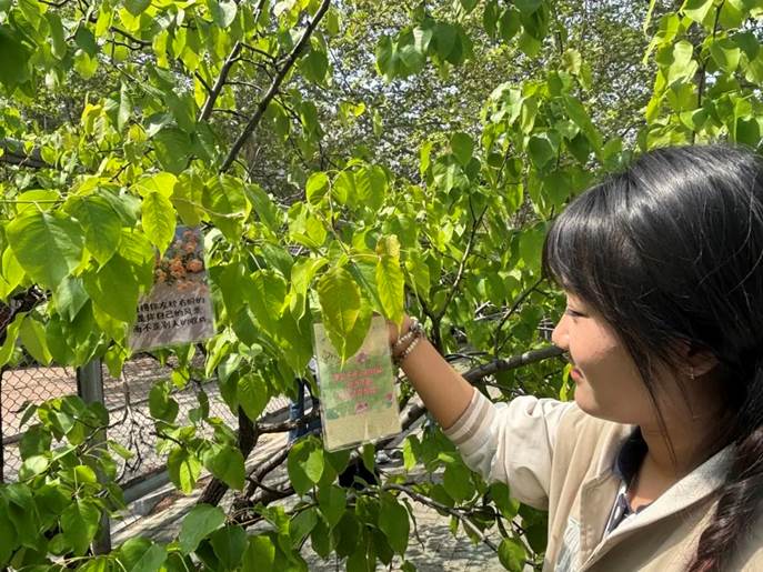 微信图片_20250426164310